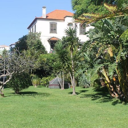 Jasmineiro - Palms Palace Apartment Funchal  Exterior foto